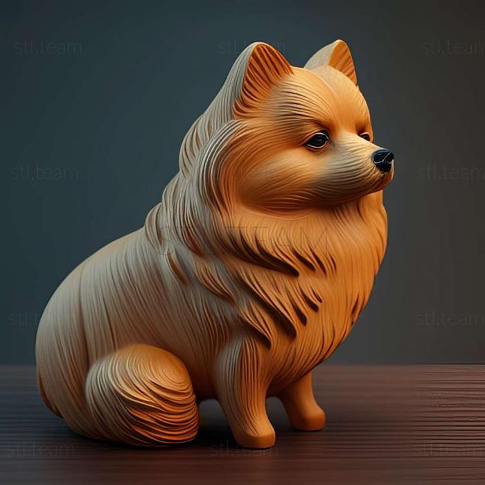 3D model German Spitz dog (STL)